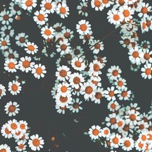 Meet your Posher, Jaden